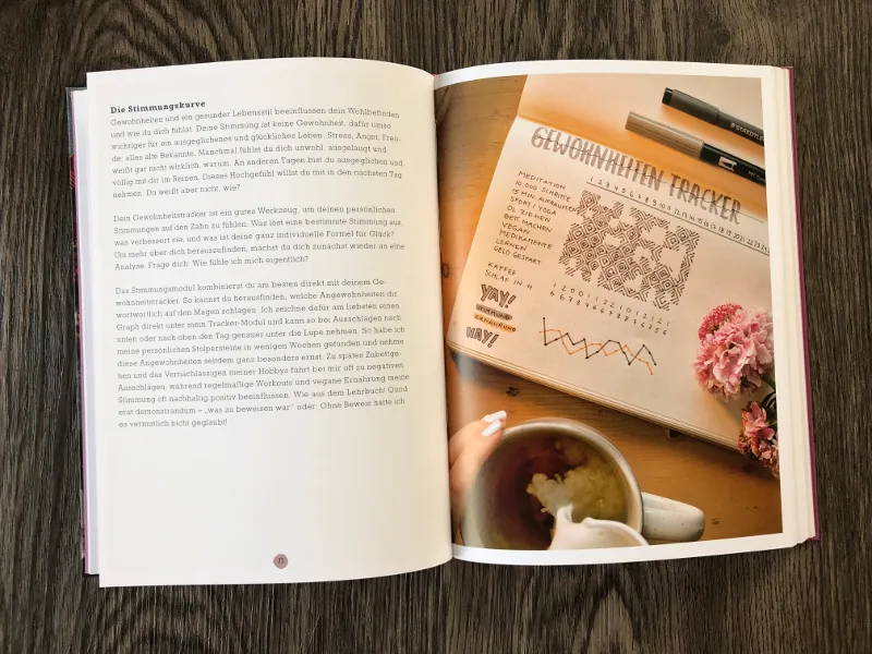 Buchseite zur Stimmungskurve mit Foto eines Gewohnheiten-Trackers