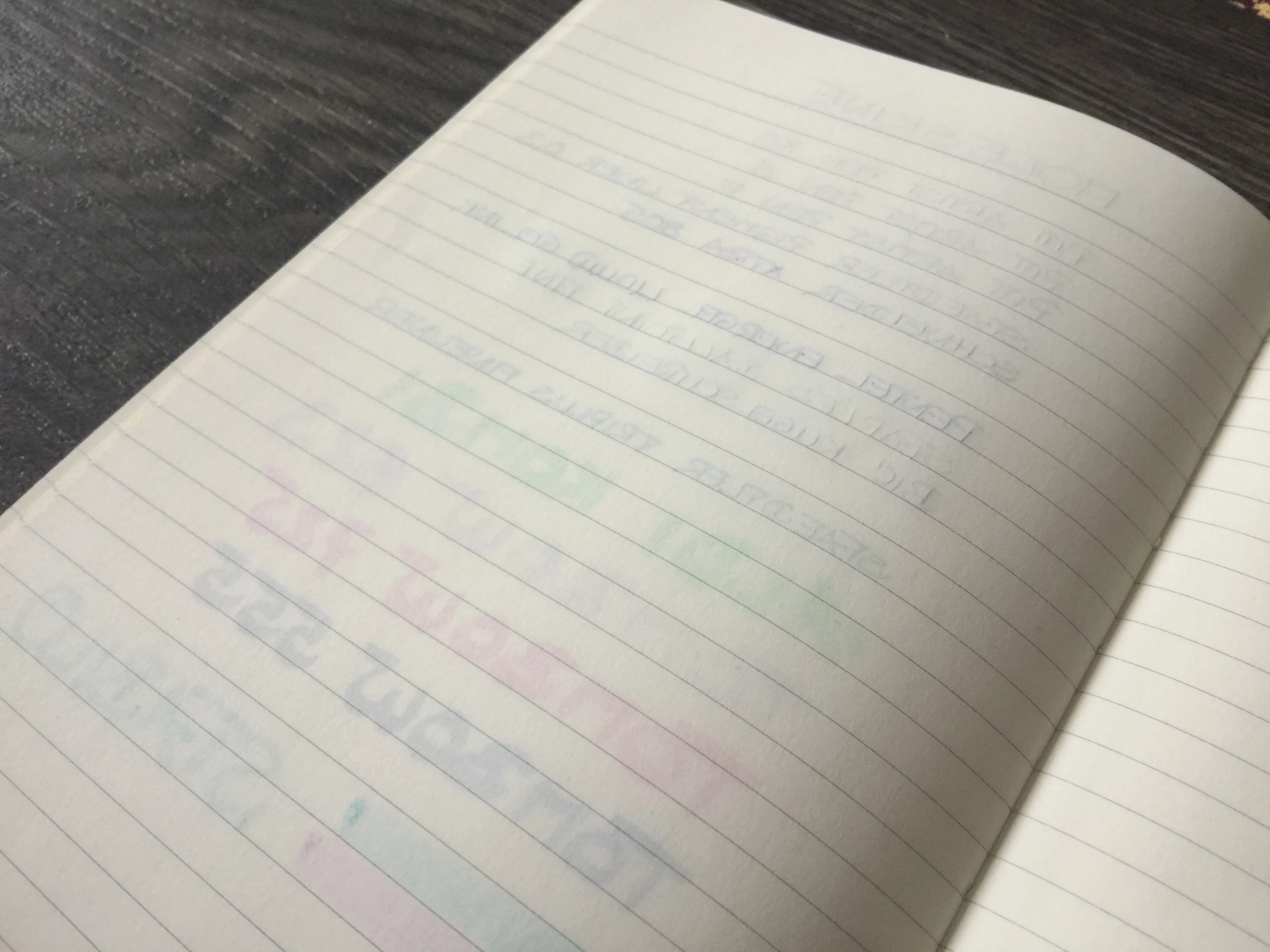 Moleskine Notizbuch Bullet Journal hinten nah
