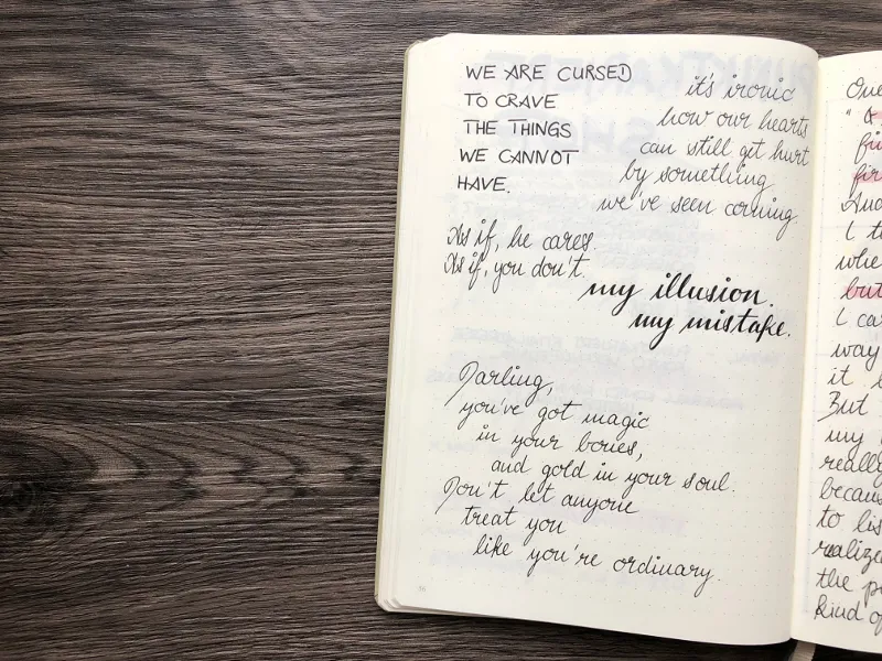 Handgeschriebene Zitate und Zeilen mit Lettering my illusion my mistake