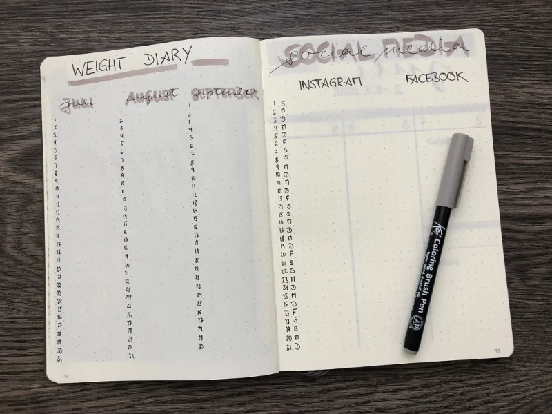 Weight Diary und Social-Media-Tracker mit Spalten für drei Monate