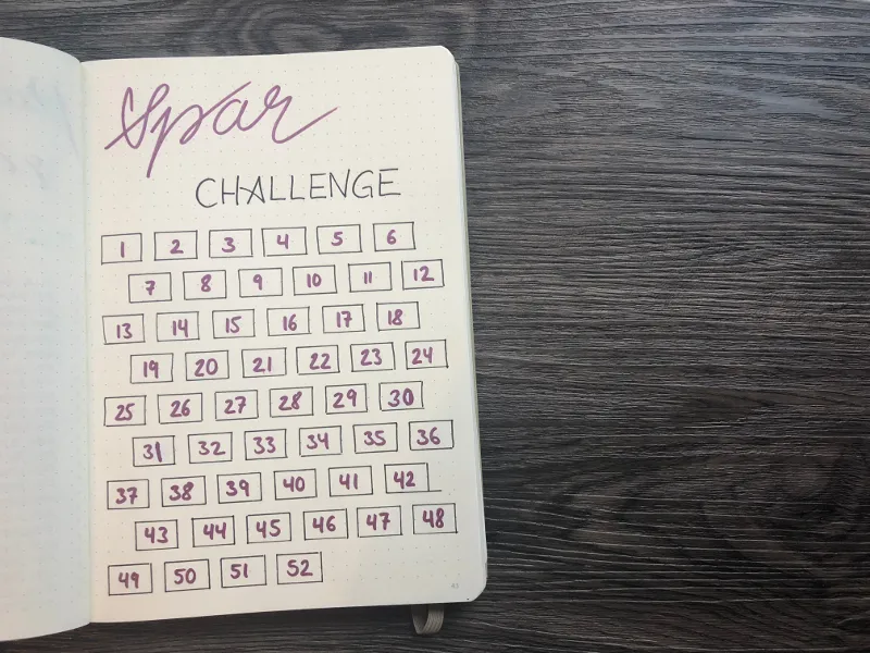 Monatsübersicht Januar Spar Challenge