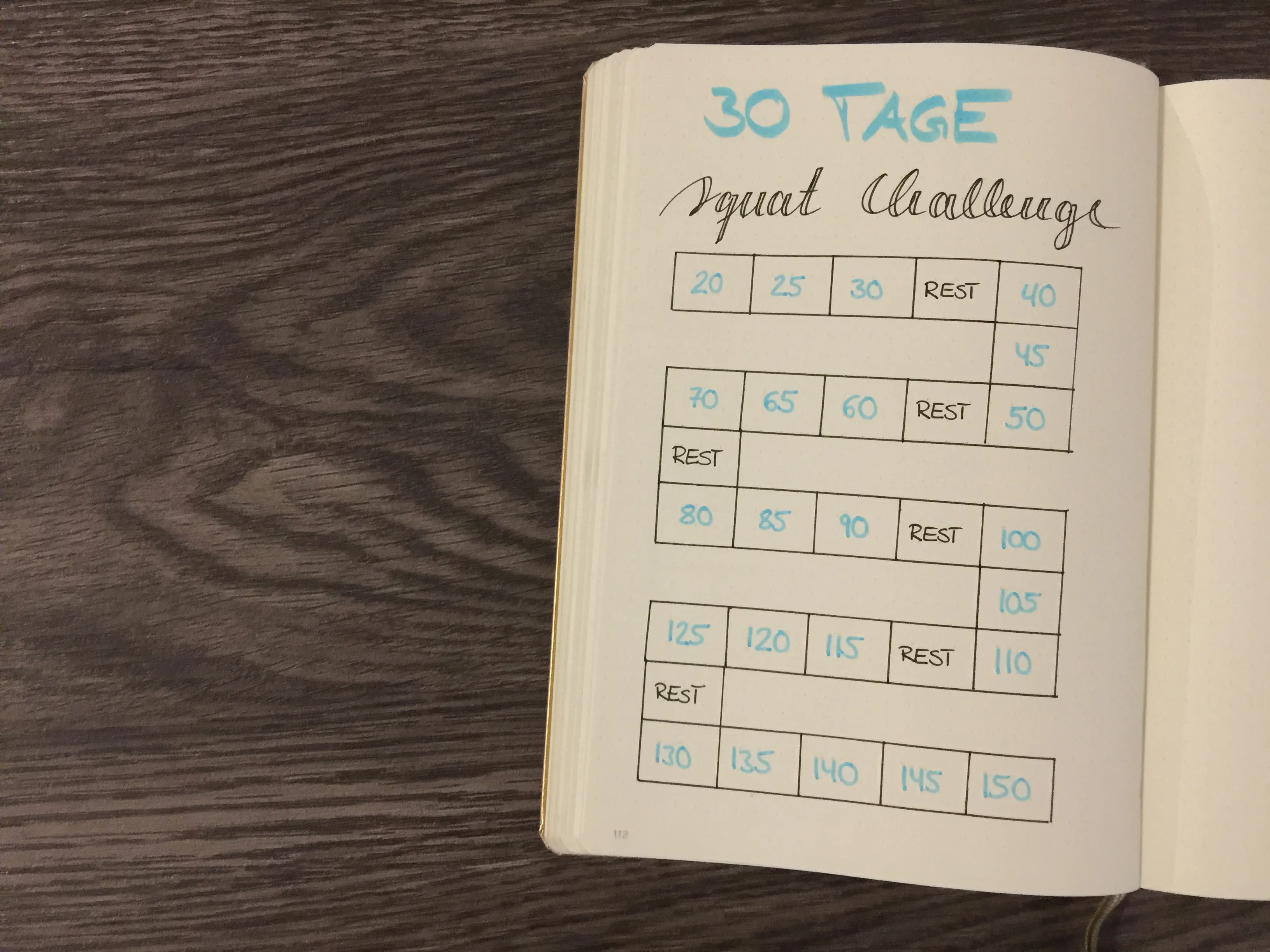 Squat Challenge