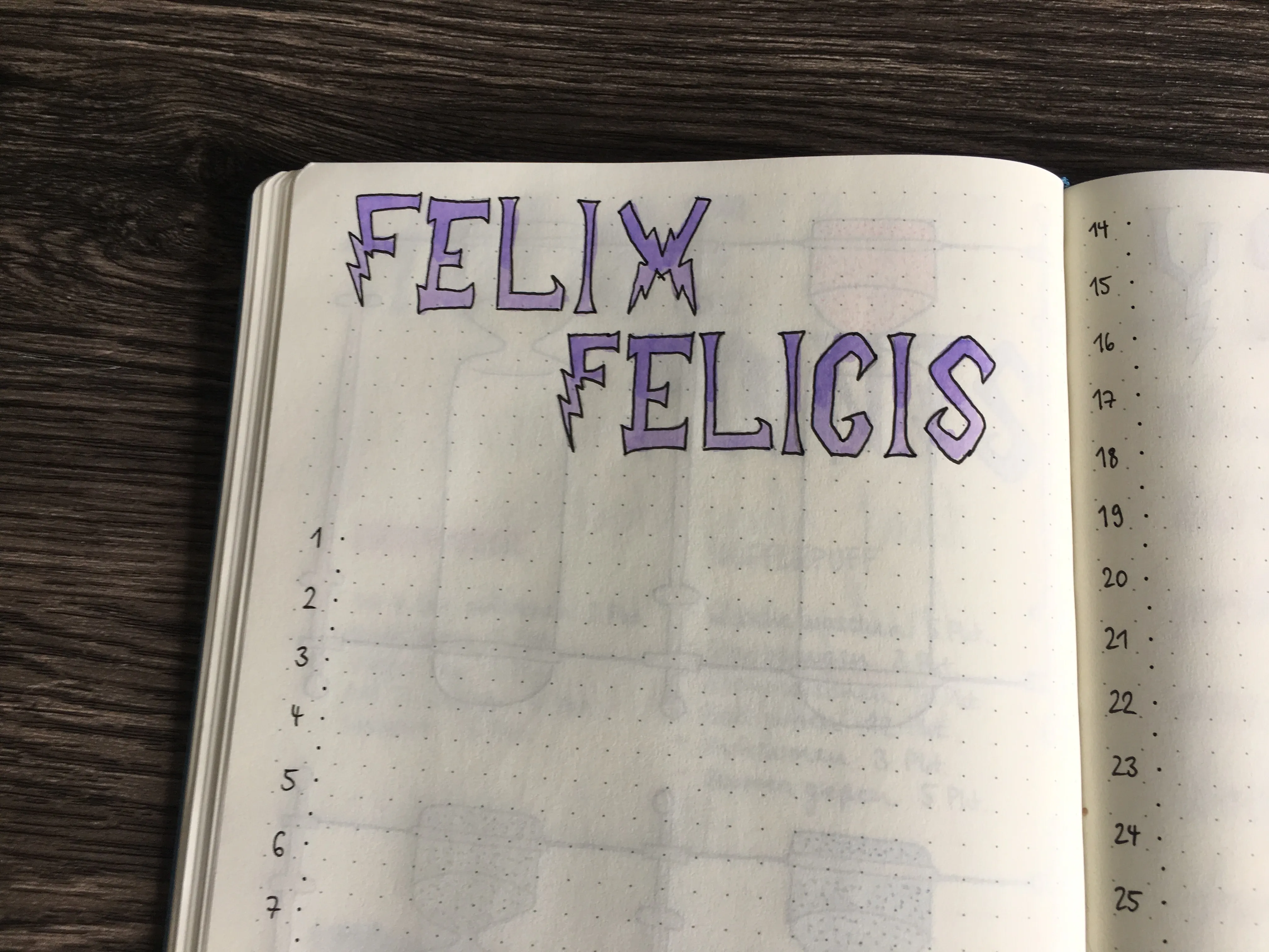 Seite Felix Felicis mit lila Schriftzug und nummerierter Liste bis 25