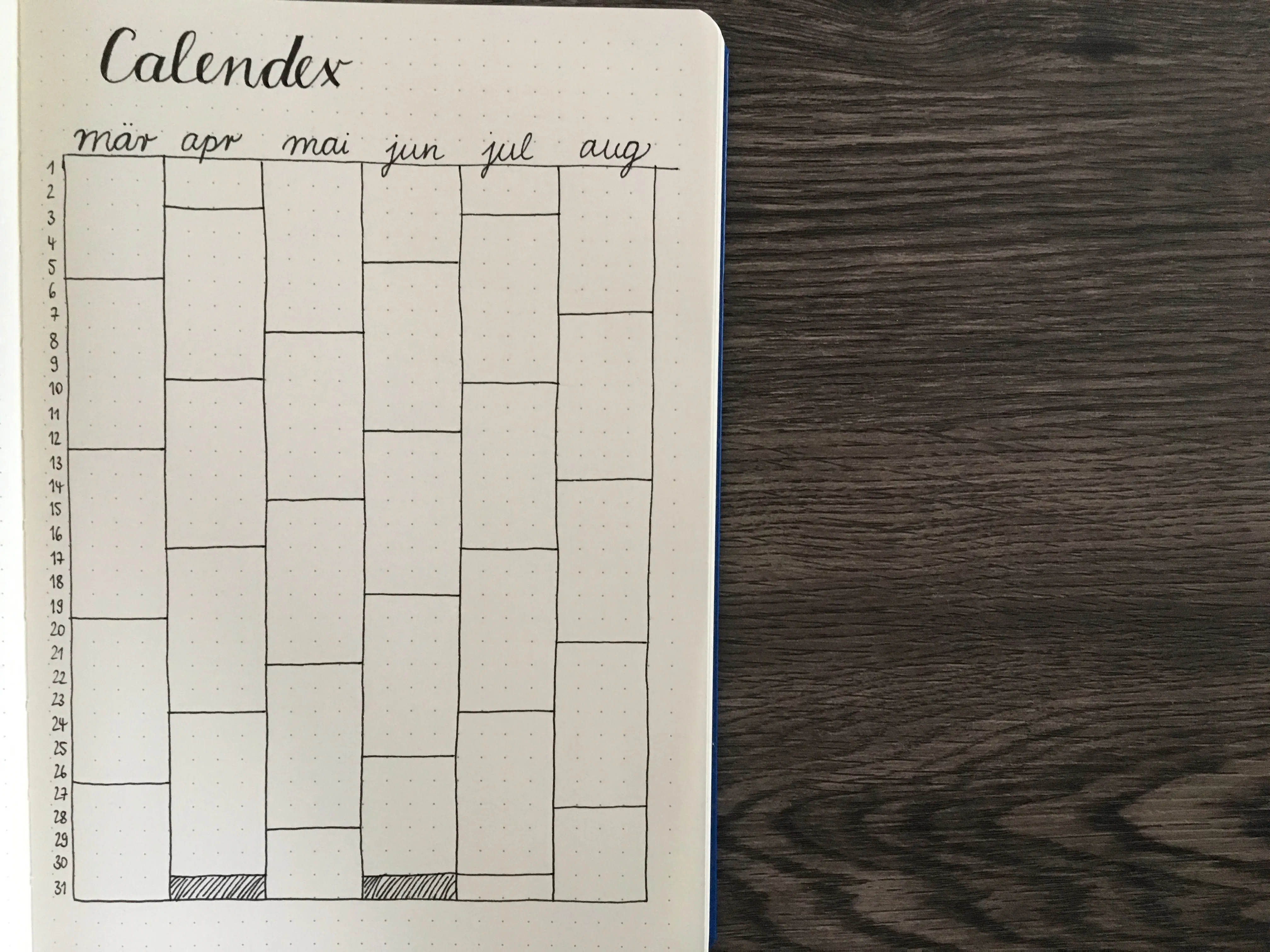 Calendex als Future Log, noch nicht ausgefüllt