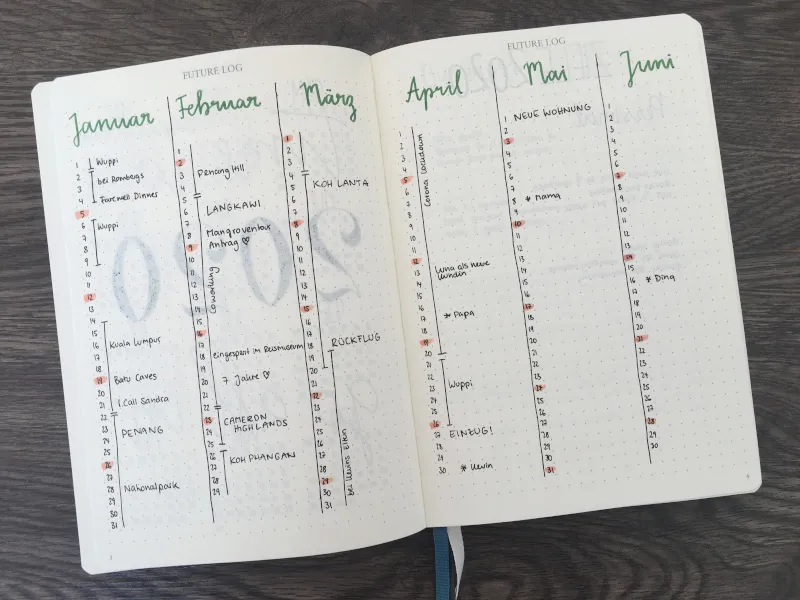 Future Log Januar bis Juni 2020 mit grünem Lettering