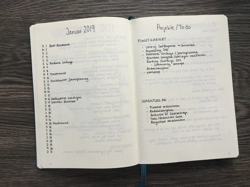 Monatsübersicht Januar 2019 mit Terminliste und Projekte-und-To-do-Seite