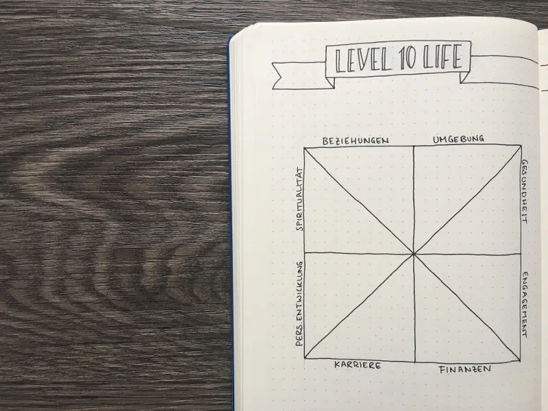 Level 10 Life Grundgerüst