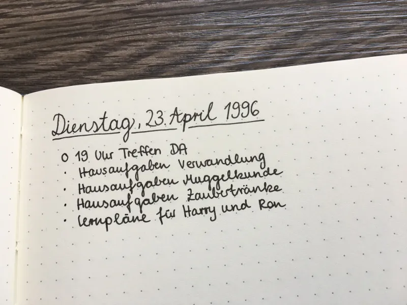 Tagesübersicht im Bullet Journal von Hermine Granger