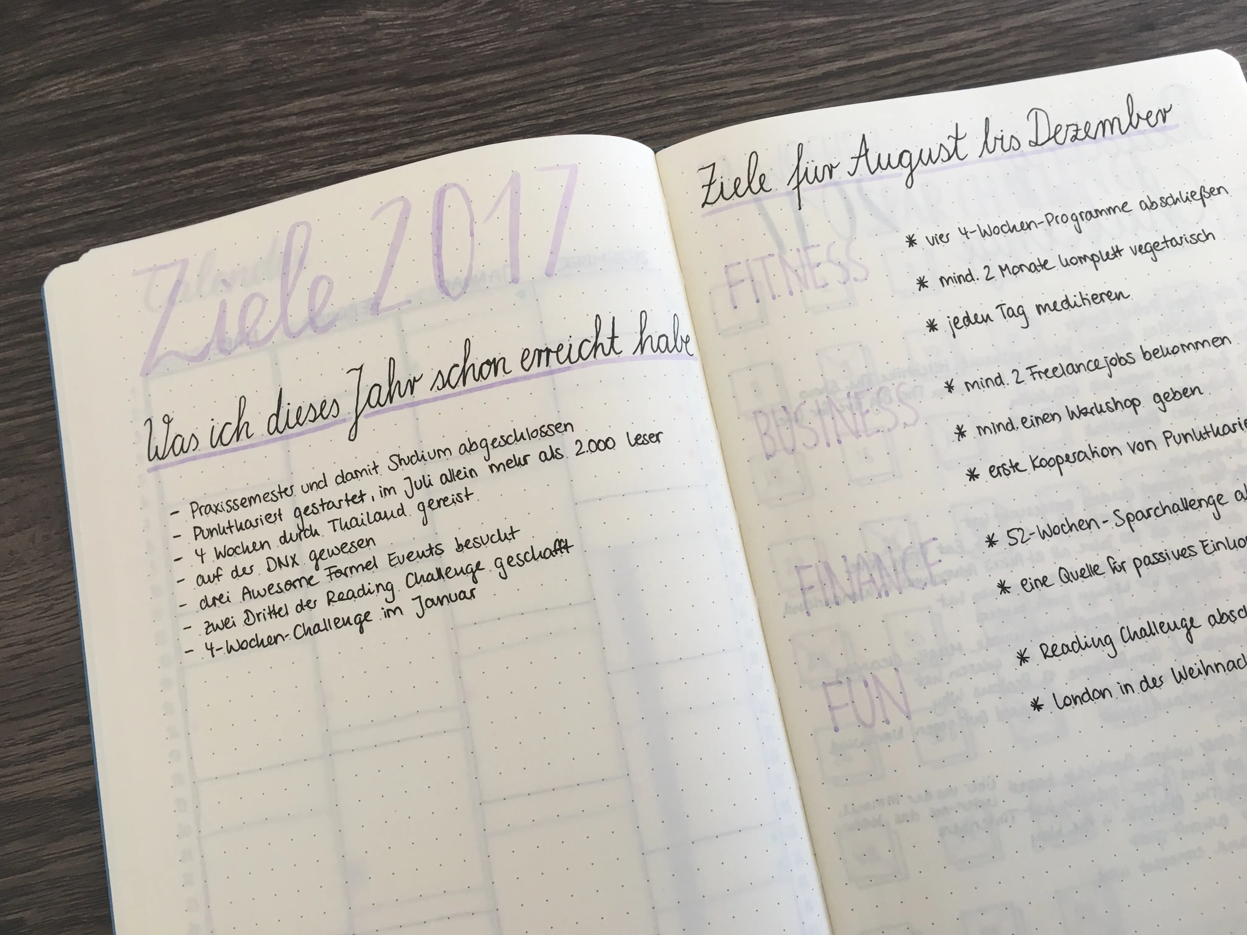 Doppelseite Ziele 2017 mit Erreichtem und Zielen nach Kategorien